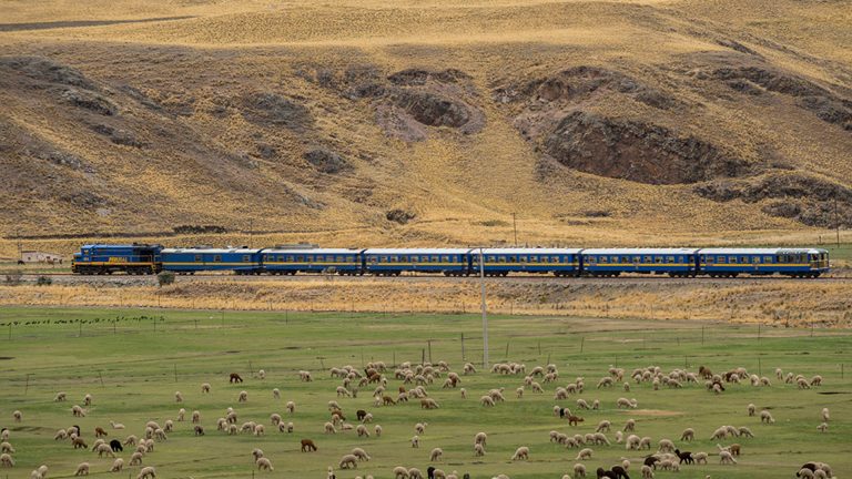 Tren PeruRail Titicaca