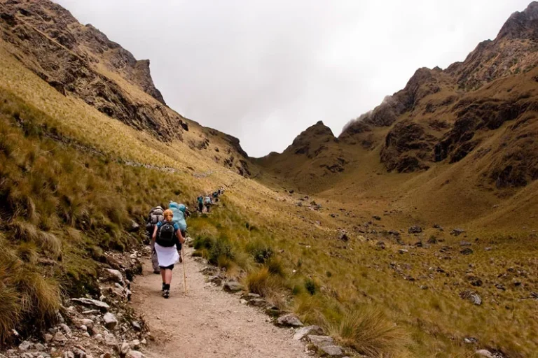 Camino a Machu Picchu