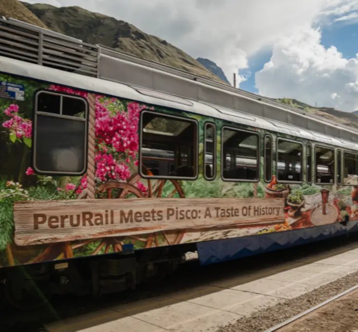 pisco-tren-vestido