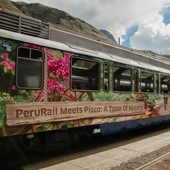 Perurail Vistadome Observatory Pisco